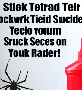 Eliminate Red Back Spiders Easily: Expert Advice