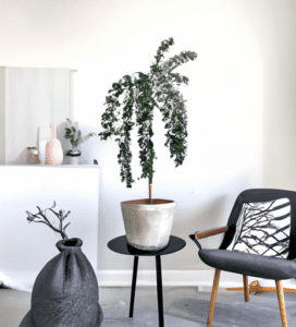 Crafting a Scandinavian Style Home: Ideas and Inspiration