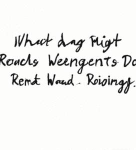 Avoiding Wedding Day Regrets: Tips for a Stress-Free Celebration