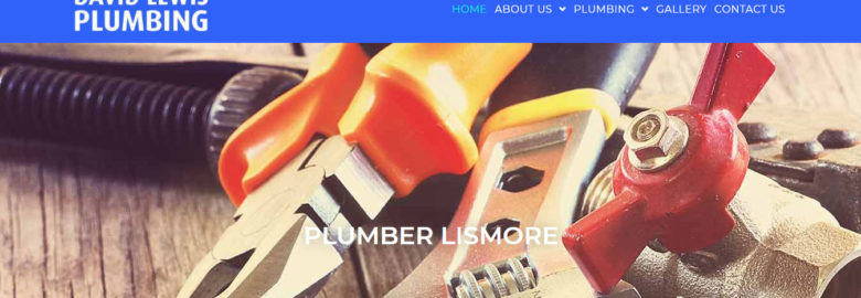 David Lewis Plumbing