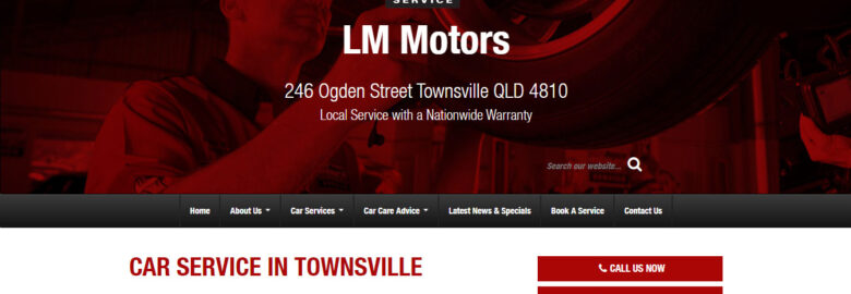 LM Motors