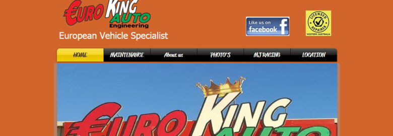 Euro King Auto Engineering