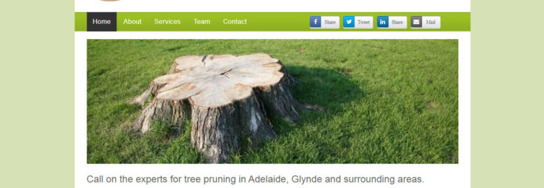 Adelaide Tree Felling Services