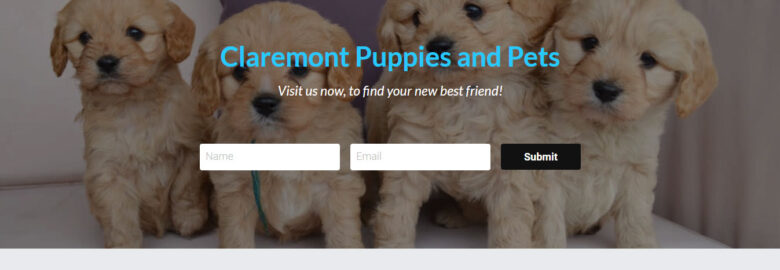 Claremont Puppies and Pets