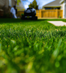 Get Your Lawn Ready for Spring with These Care Tips