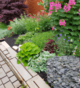 How to Create a Low Maintenance Garden with Maximum Impact