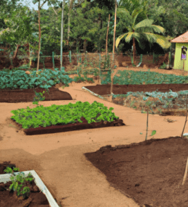 Making Money with Your Small Farm: Creative Ideas for Increased Income