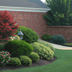 Unlocking the Potential of Landscaping to Increase Property Value