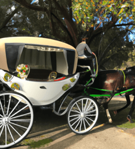 Wedding Horse & Carriage Hire in Australia