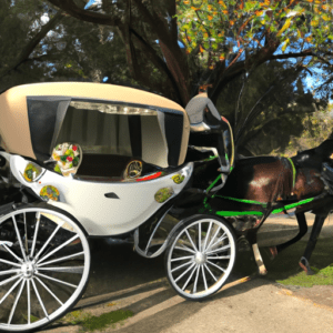 Wedding Horse & Carriage Hire in Australia