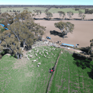 Farmers and Graziers in Australia