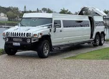 AO Limo Gold Coast