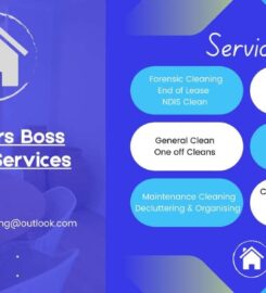 Mr Mrs Boss Carpet Cleaning