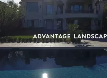 Advantage Landscape